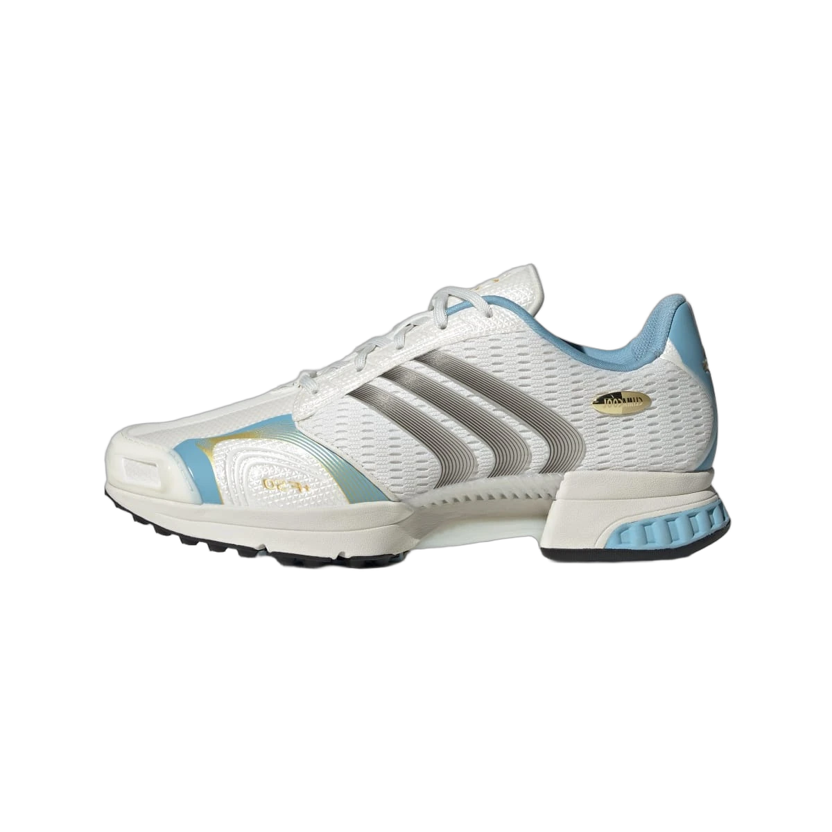 Adidas Climacool F50 Messi Argentina