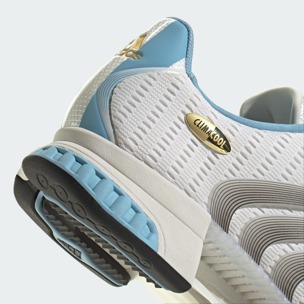 Adidas Climacool F50 Messi Argentina