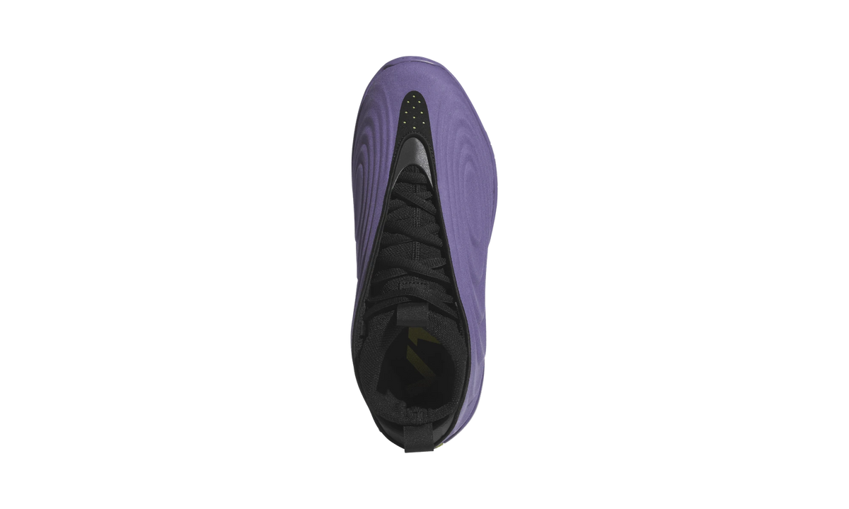Adidas Harden Vol. 10 Matte Purple