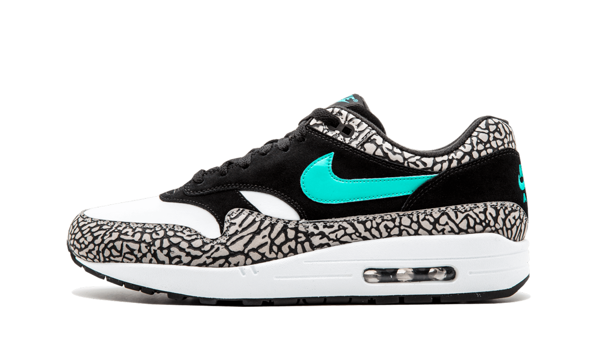Air Jordan 3 Retro & Nike Air Max 1 atmos Pack