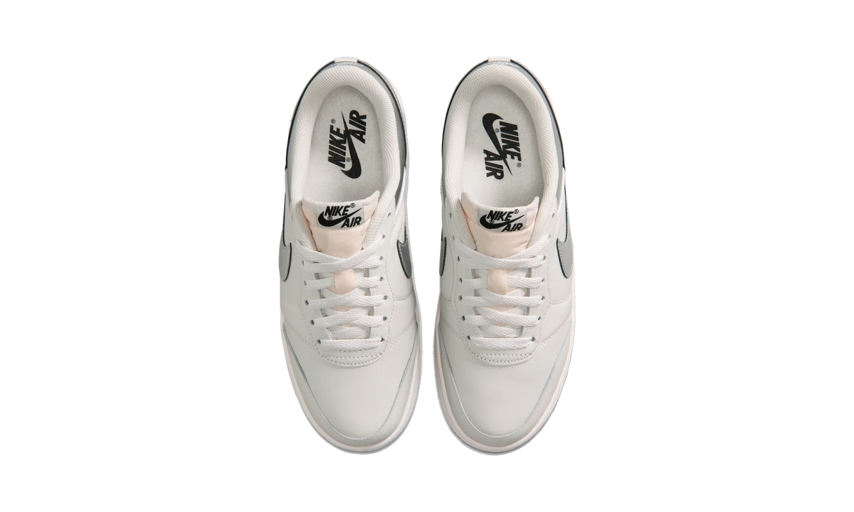 Air Jordan Skyline Low Swan Metallic Silver