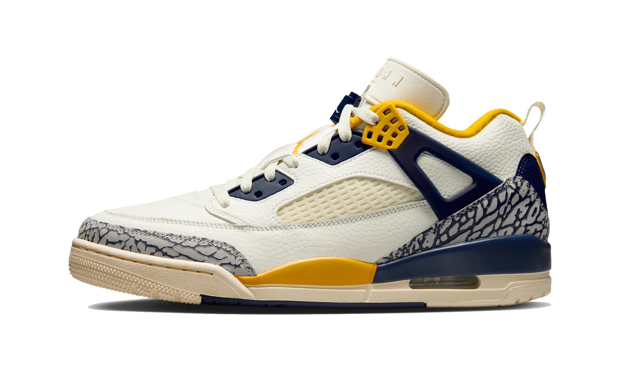 Air Jordan Spizike Low Michigan