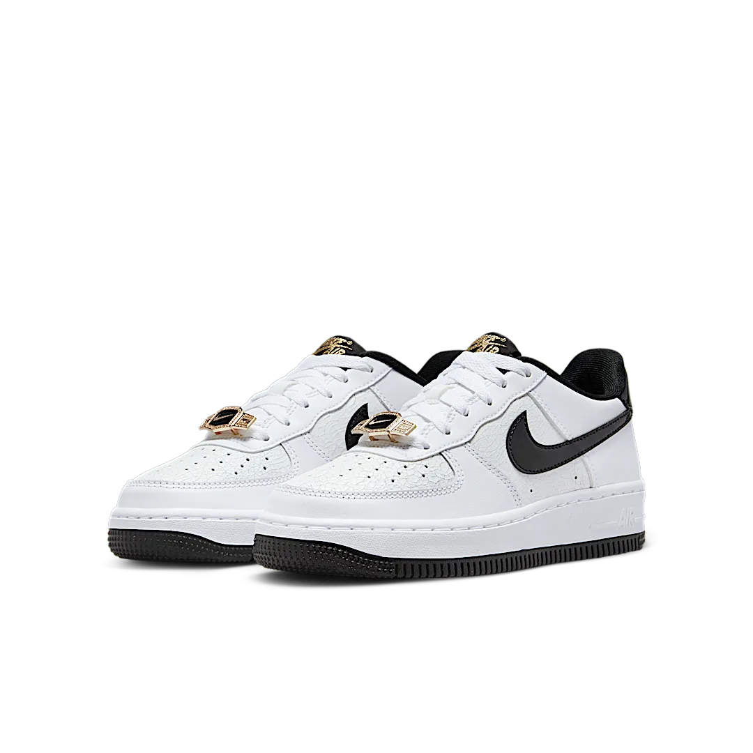 Nike Air Force 1 Low World Champion, White/Black/Gold (DQ0300-100)