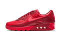 Nike Air Max 90 City Special Chicago