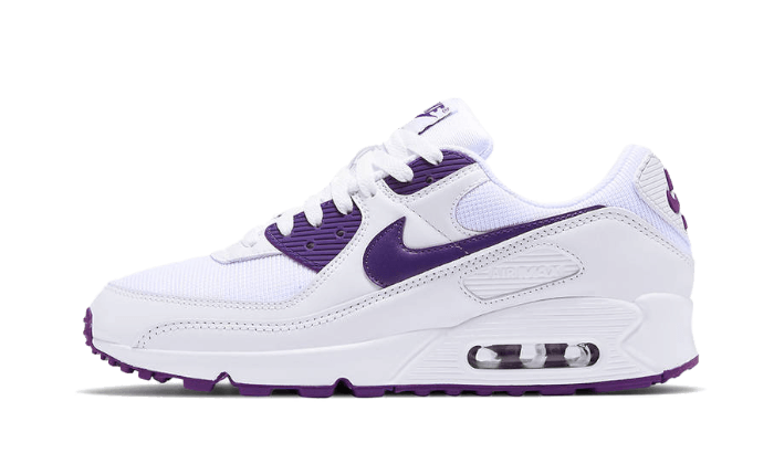 Nike Air Max 90 Color Pack Court Purple