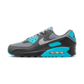 Nike Air Max 90 Cool Grey Dusty Cactus Black Wolf Grey