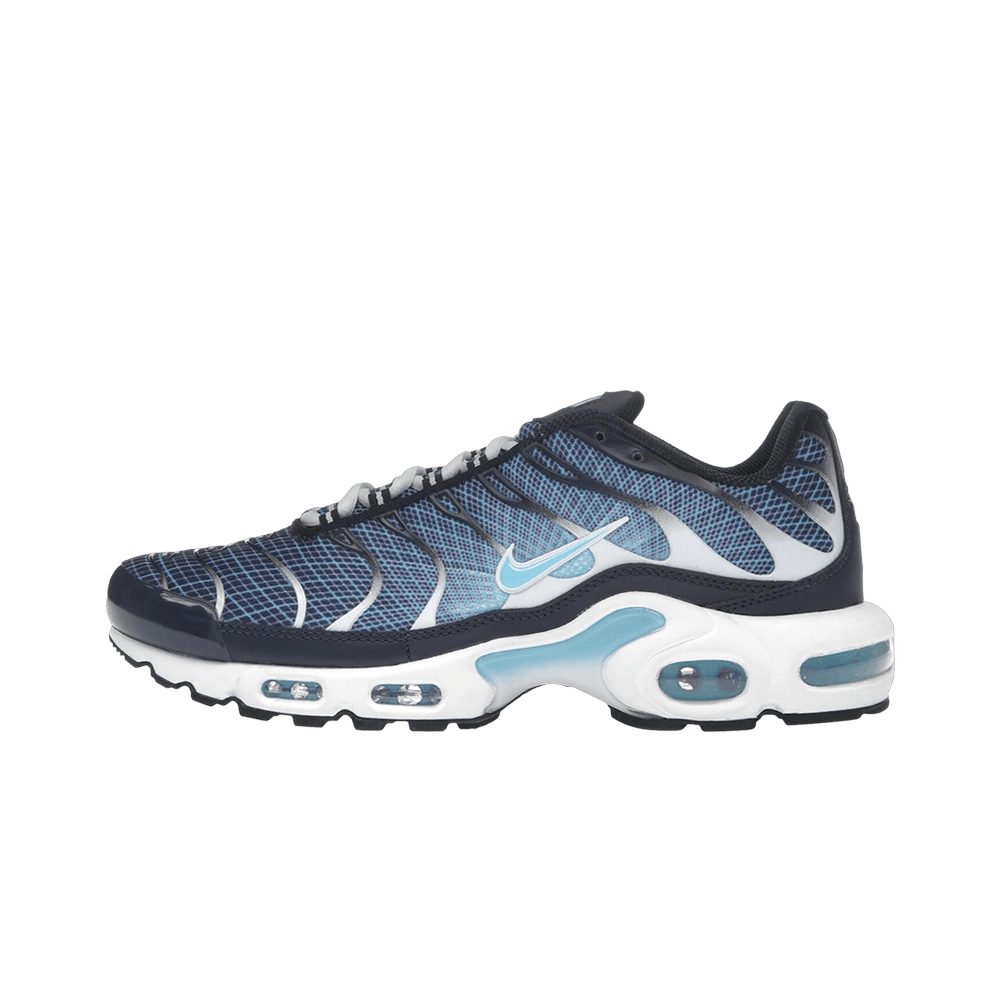 Nike Air Max Plus Dark Obsidian, Dark Obsidian/Blue Chill/White/Black (IH4460-400)