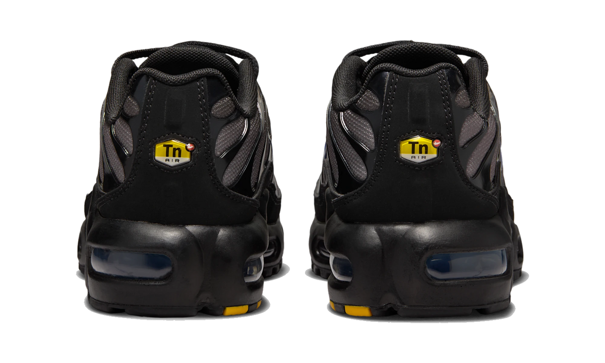 Nike Air Max Plus GS Black Cave Stone