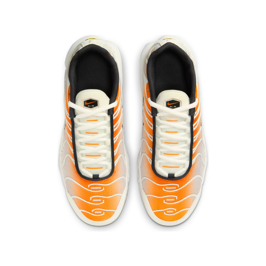 Nike Air Max Plus Orange Peel Summit White Anthracite Vast Grey, Orange Peel/Summit White/Anthracite/Vast Grey (CD0609-800)