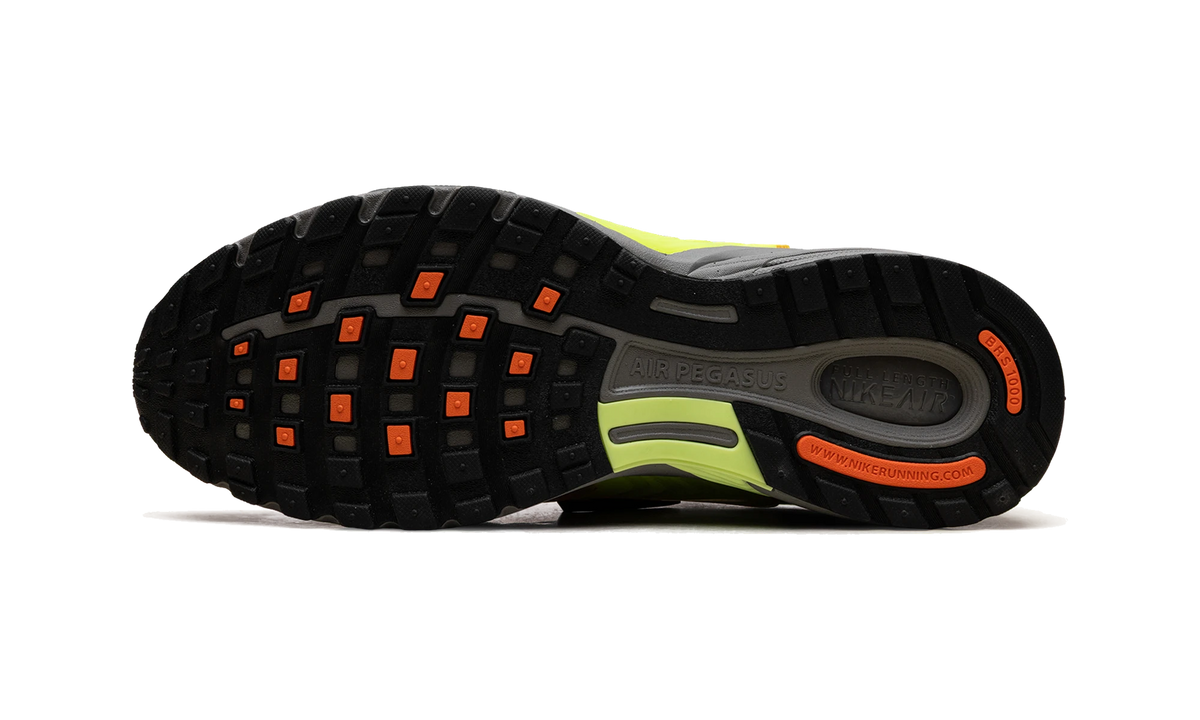 Nike Air Pegasus Wave Gradient Cage