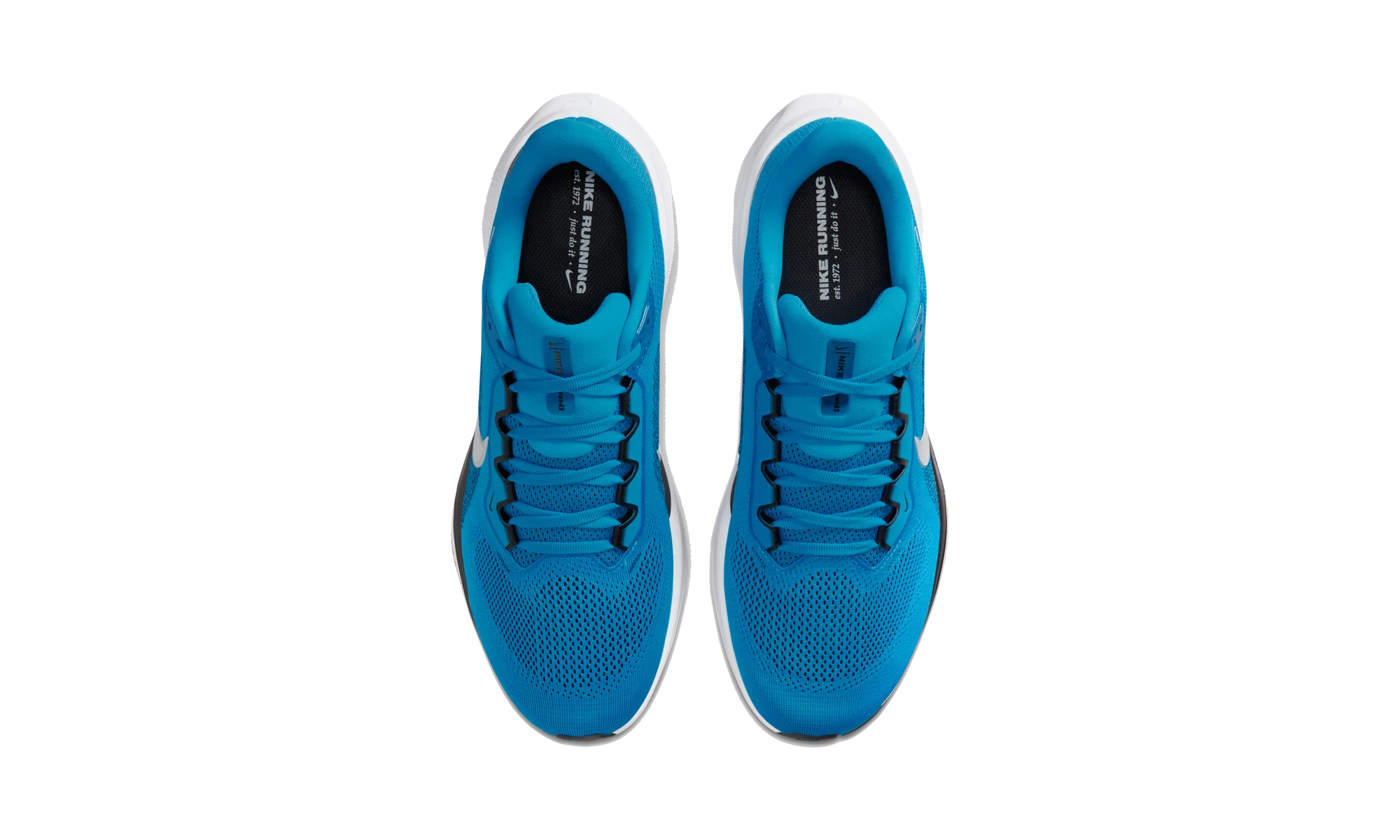 Nike Air Zoom Pegasus 41 Carolina Panthers (2025)