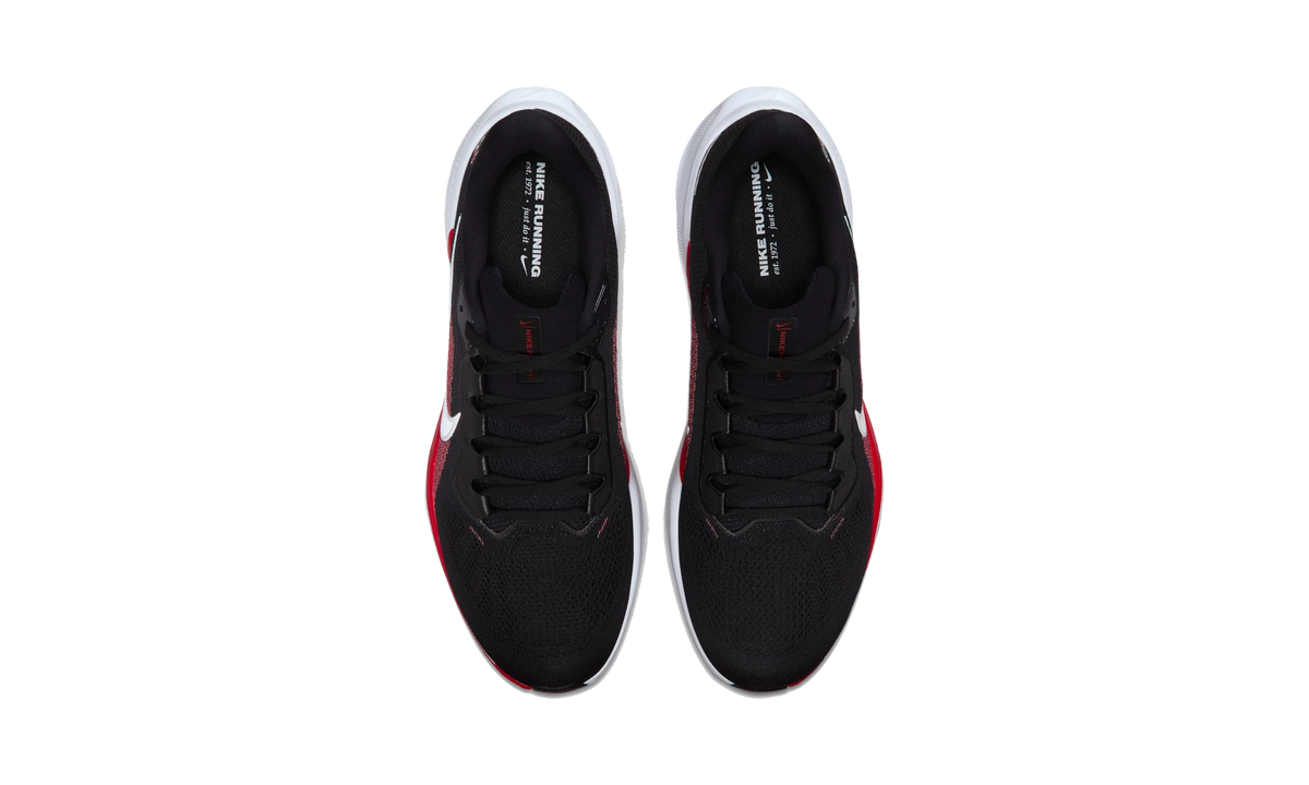 Nike Air Zoom Pegasus 41 Houston Texans (2025)