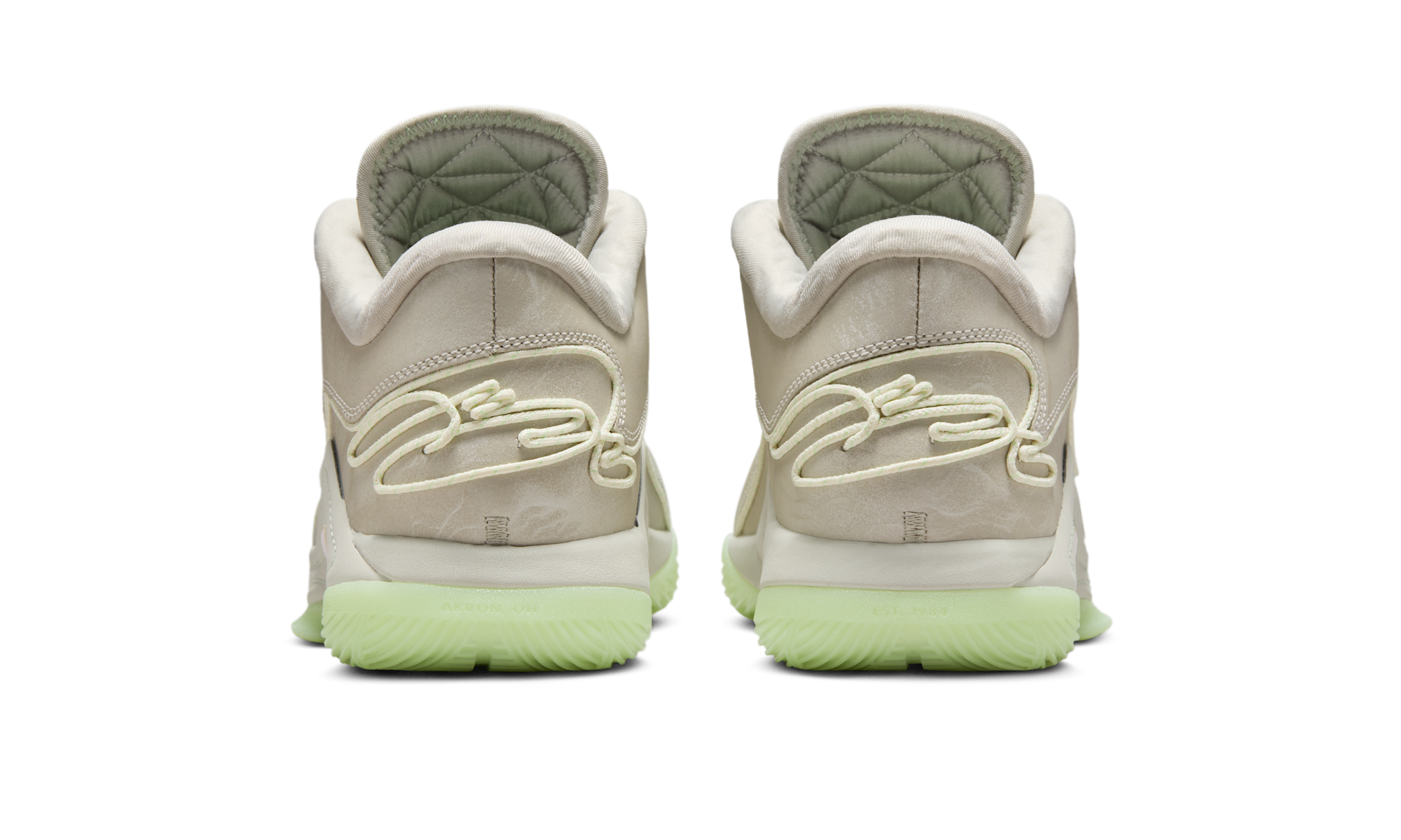 Nike LeBron 22 Dunkman (Translucent Outsole)