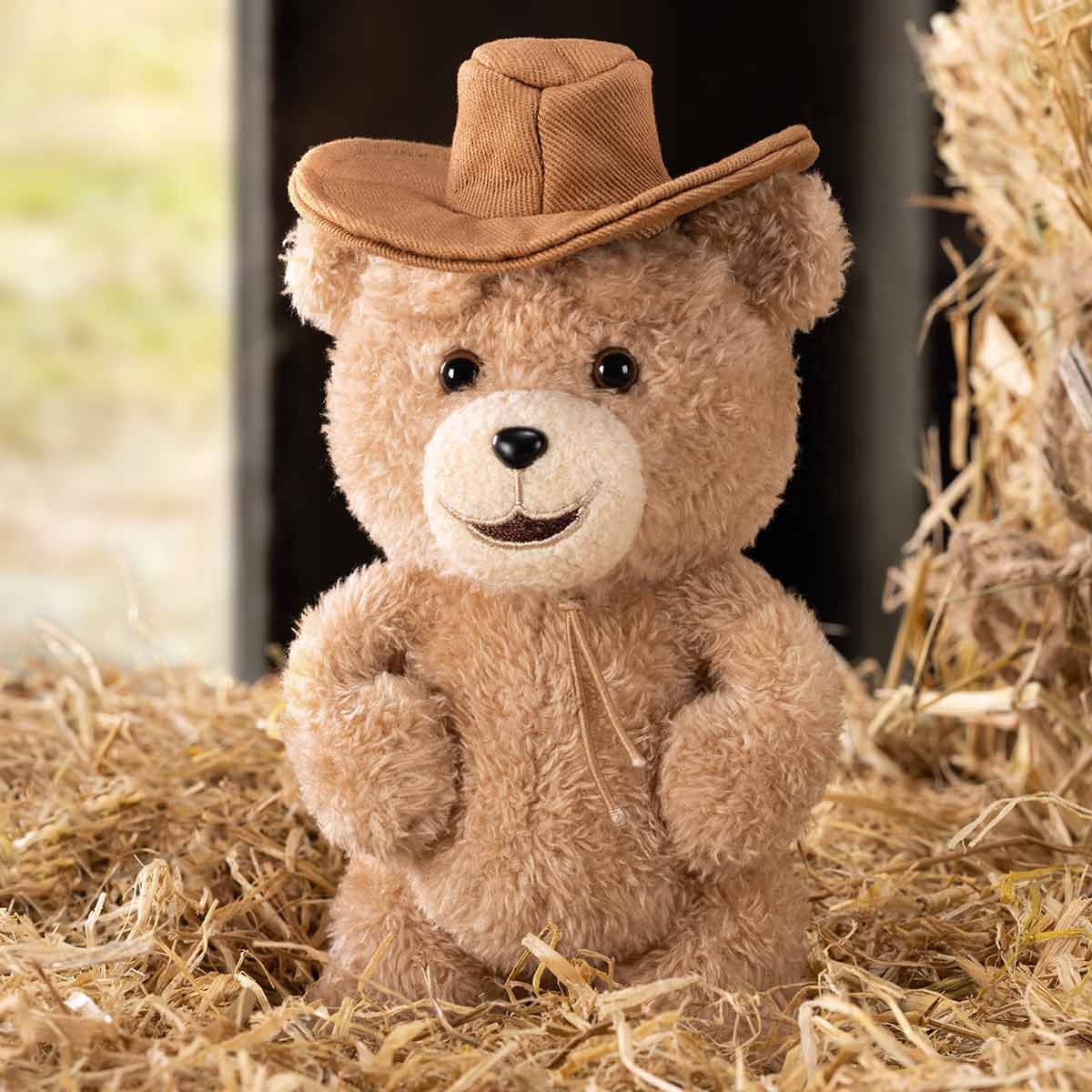 Pop Mart Ted2 Teddy Bear Action Plush Pendant Blind Box