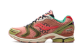 Saucony ProGrid Triumph 4 Jae Tips Flowers Grow Uptown Virginia Creeper