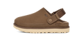 UGG Goldenstar Clog Hickory