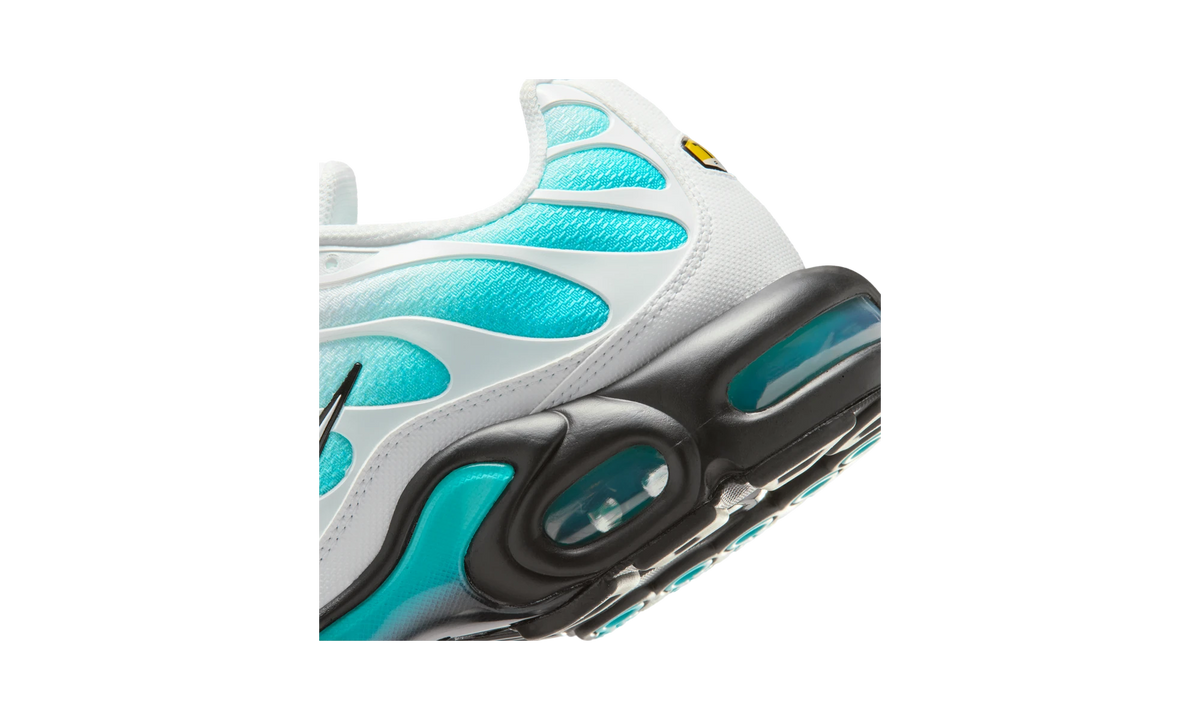 Nike Air Max Plus Dusty Cactus/Black/White