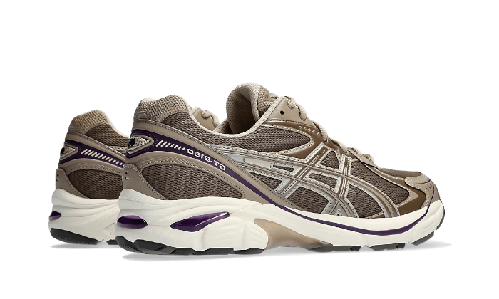 ASICS GT-2160 Dark Taupe Purple, Dark Taupe/Taupe Grey (1203A320-251)