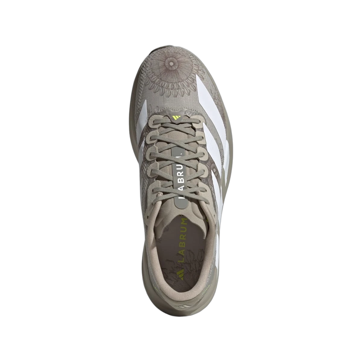 Adidas Adizero Evo SL LABRUM Sesame