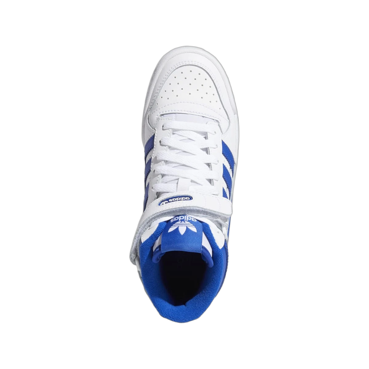 Adidas Forum Cloud White Royal Blue