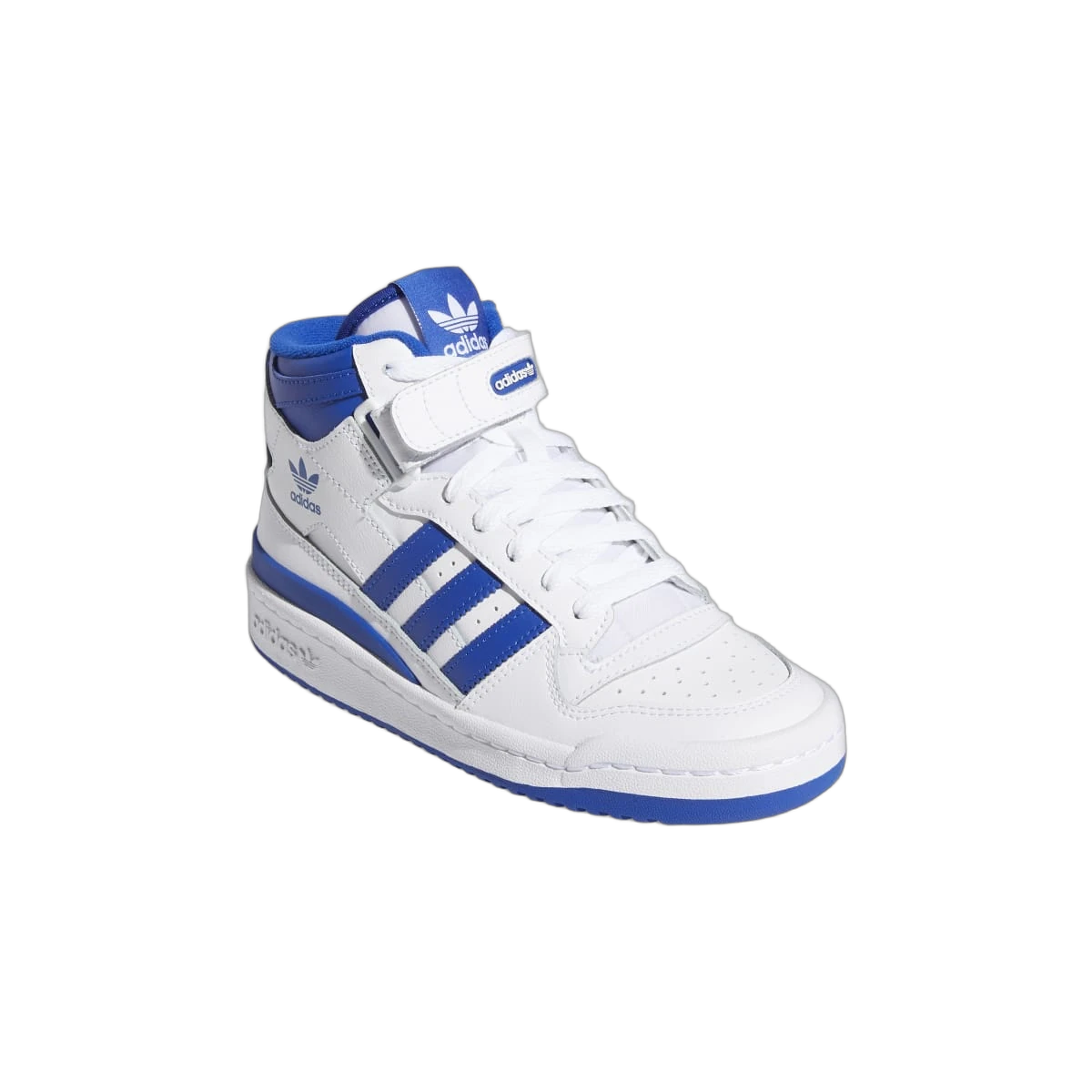 Adidas Forum Cloud White Royal Blue