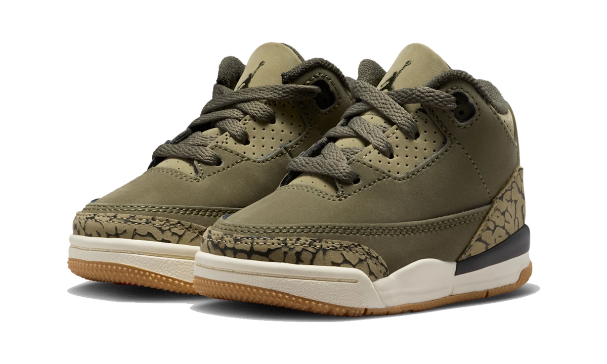 Air Jordan 3 Retro Family Affair (TD)