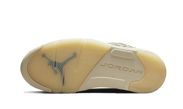 Air Jordan 5 Retro Low Expression, Coconut Milk/White/Black (DA8016-100)