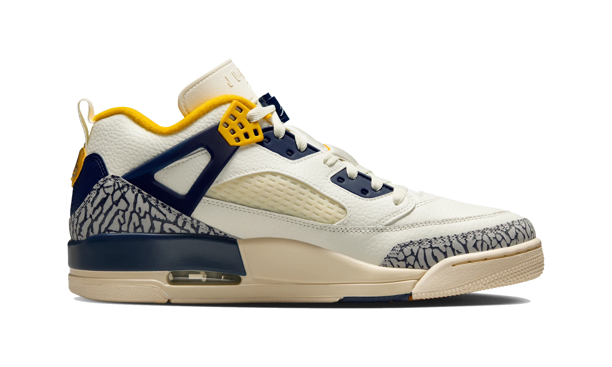 Air Jordan Spizike Low Michigan
