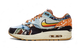 Nike Air Max 1 SP Concepts Heavy