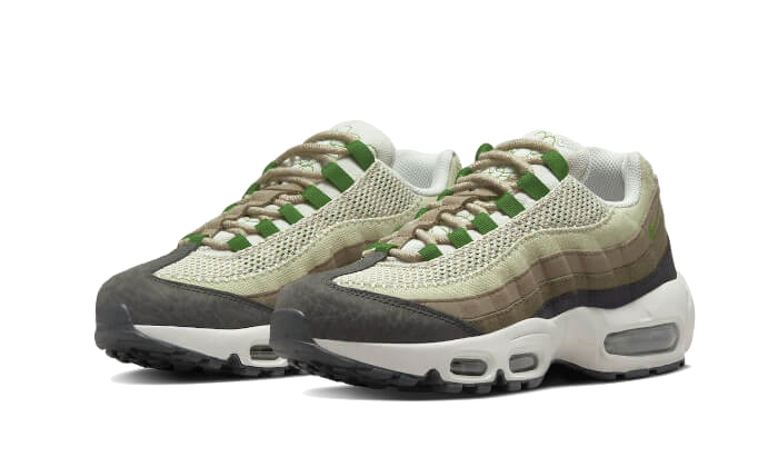 Nike Air Max 95 Earth Day, Night Forest/Chlorophyll (DV3450-300)