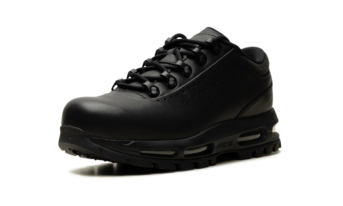 Nike Air Max Goadome Low Black
