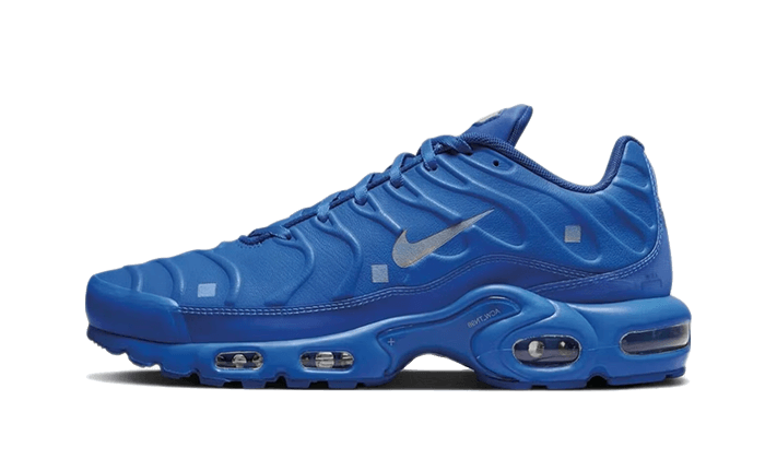 Nike Air Max Plus A-COLD-WALL House Blue, Varsity Royal/Varsity Royal/Cool Grey (FD7855-400)