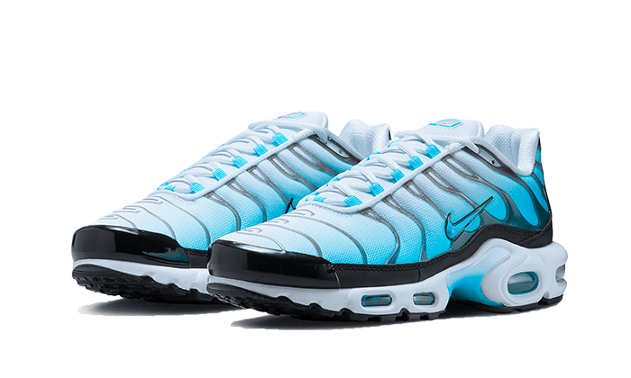 Nike Air Max Plus Baltic Blue, White/Black/Baltic Blue (FD9751-100)