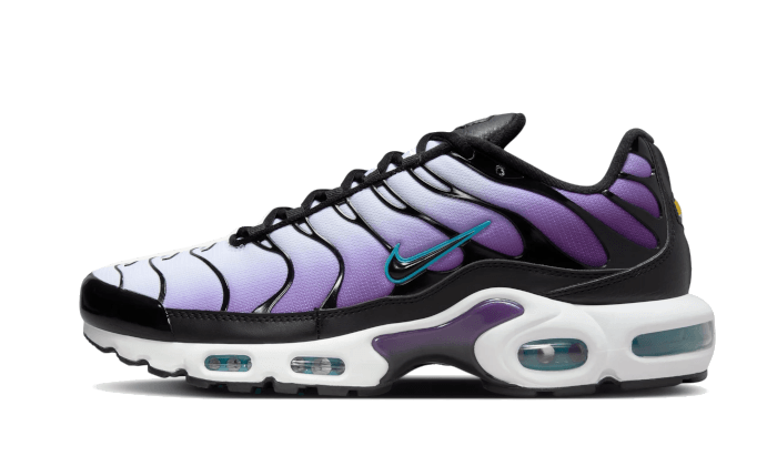 Nike Air Max Plus Reverse Grape, Disco Purple/Black-Teal Nebula-Space Purple-White-Metallic Silver (FQ2415-500 / FQ2412-500)