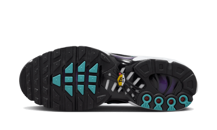 Nike Air Max Plus Reverse Grape, Disco Purple/Black-Teal Nebula-Space Purple-White-Metallic Silver (FQ2415-500)