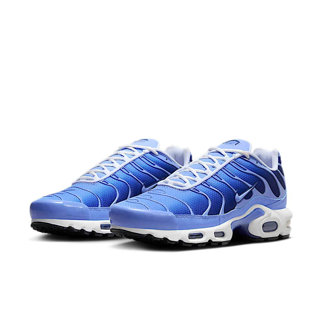 Nike Air Max Plus Royal Pulse, Royal Pulse/Deep Royal Blue (DM0032-403)