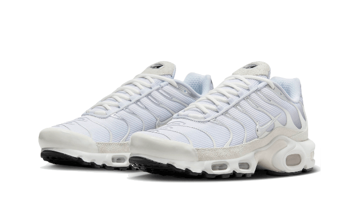 Nike Air Max Plus Sail Pure Platinum Silver, Pure Platinum/Sail/Wolf Grey/Metallic Silver (FN7813-001)