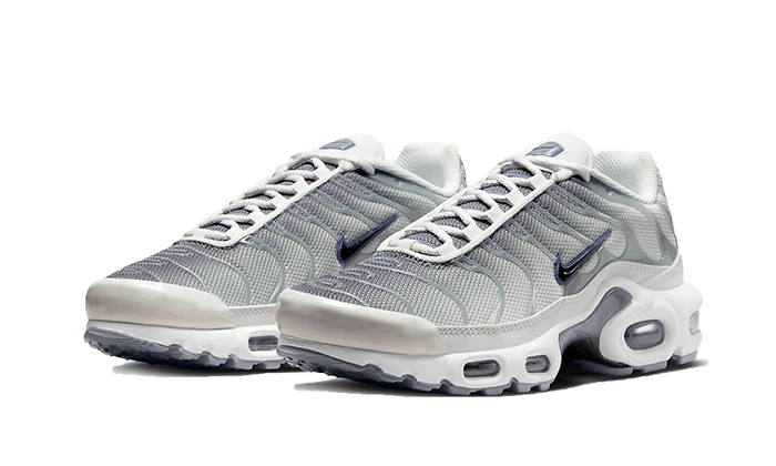 Nike Air Max Plus Smoke Grey Ashen Slate, Summit White/Smoke Grey/Ashen Slate/Black (FQ2892-100)