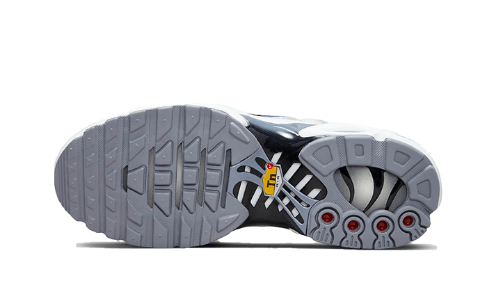 Nike Air Max Plus Smoke Grey Ashen Slate, Summit White/Smoke Grey/Ashen Slate/Black (FQ2892-100)