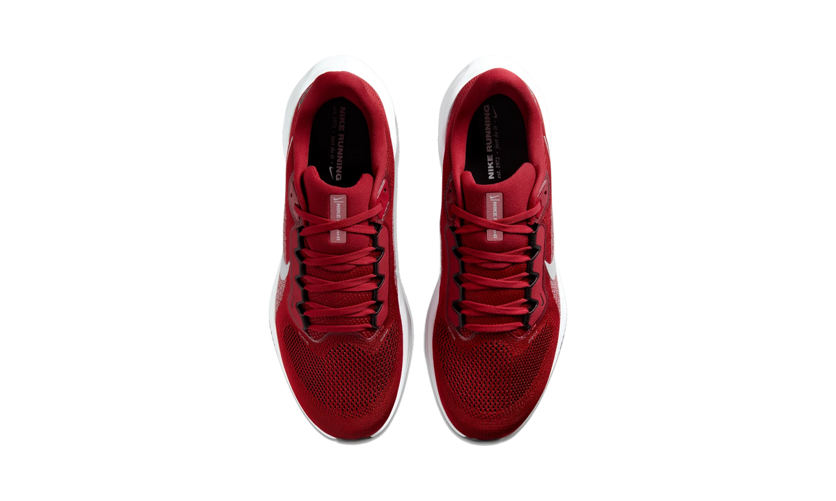 Nike Air Zoom Pegasus 41 Arizona Cardinals (2025)
