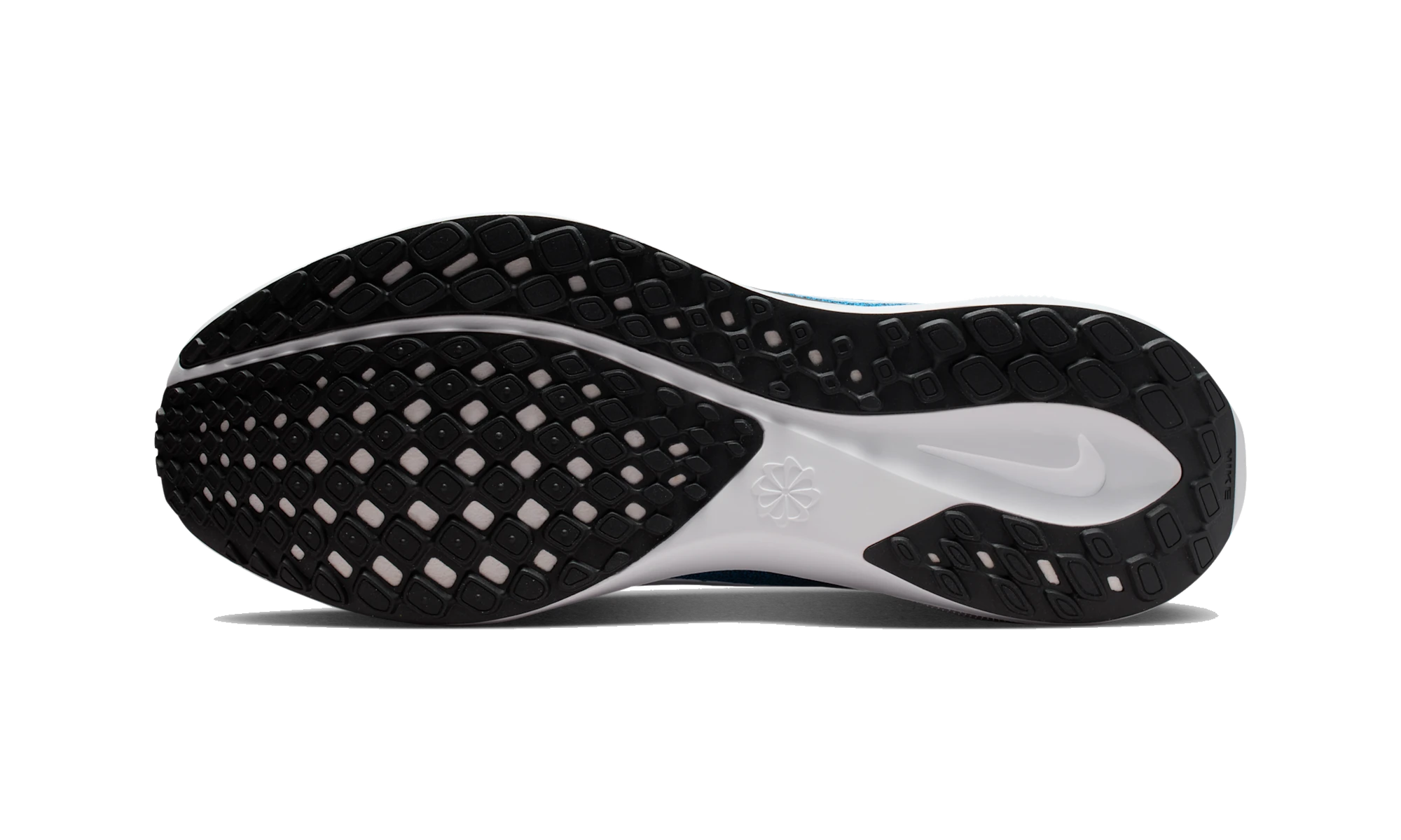 Nike Air Zoom Pegasus 41 Carolina Panthers (2025)