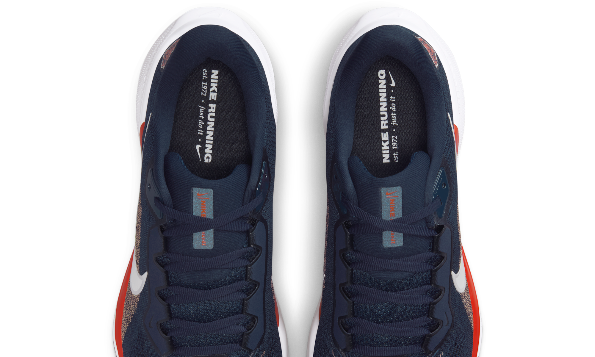 Nike Air Zoom Pegasus 41 Chicago Bears (2025)