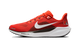 Nike Air Zoom Pegasus 41 Cleveland Browns (2025)