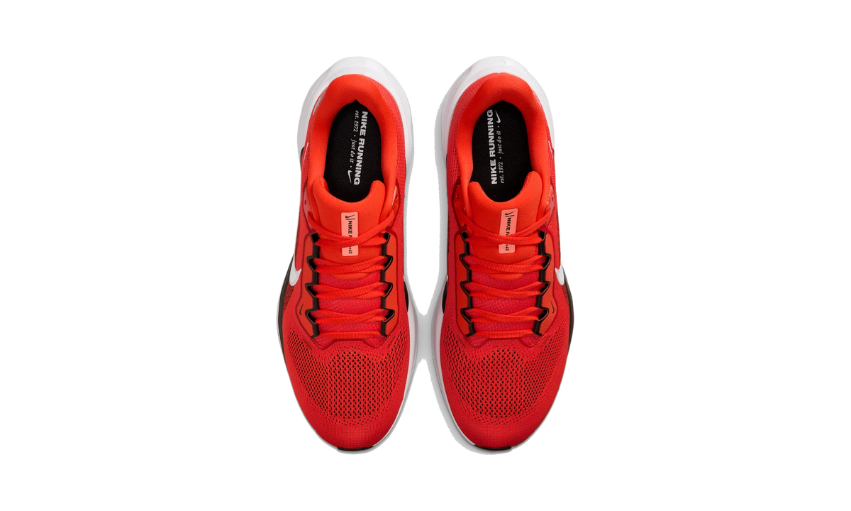 Nike Air Zoom Pegasus 41 Cleveland Browns (2025)
