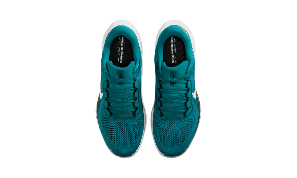 Nike Air Zoom Pegasus 41 Jacksonville Jaguars (2025)