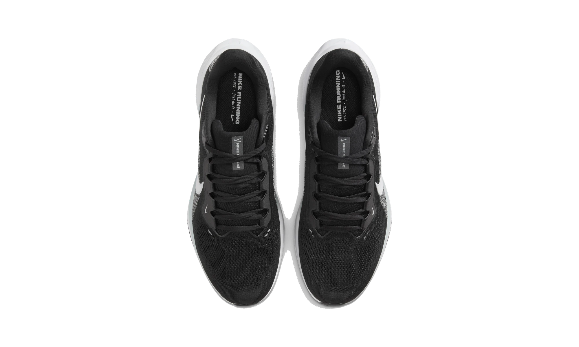 Nike Air Zoom Pegasus 41 Las Vegas Raiders (2025)