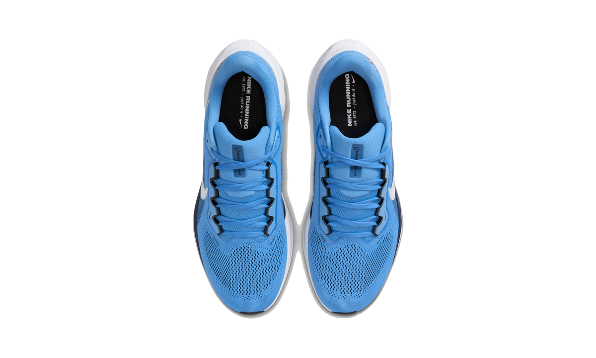 Nike Air Zoom Pegasus 41 Tennessee Titans (2025)
