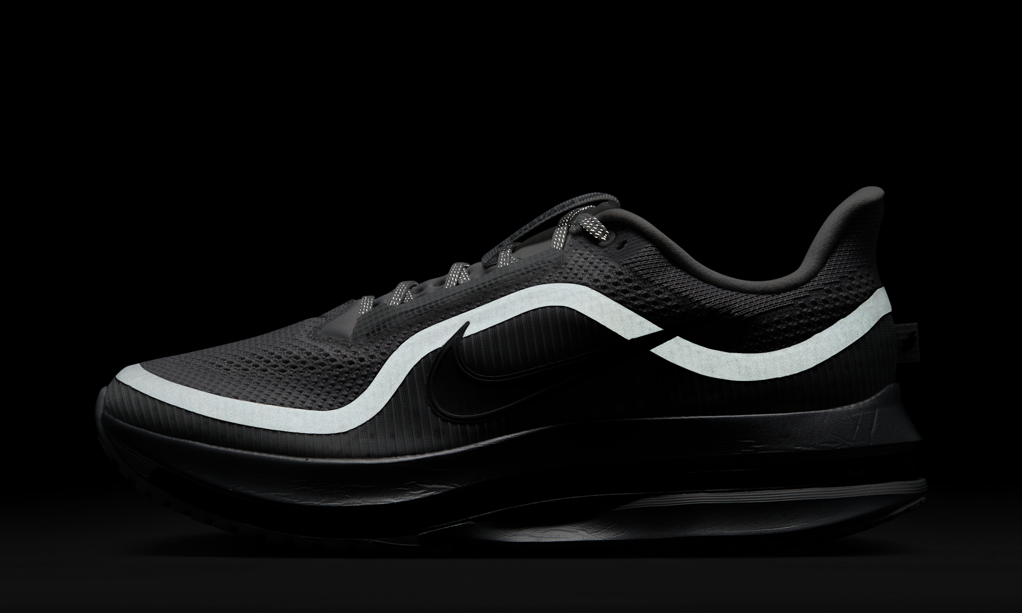 Nike Air Zoom Pegasus Premium Photon Dust Black Metallic Silver