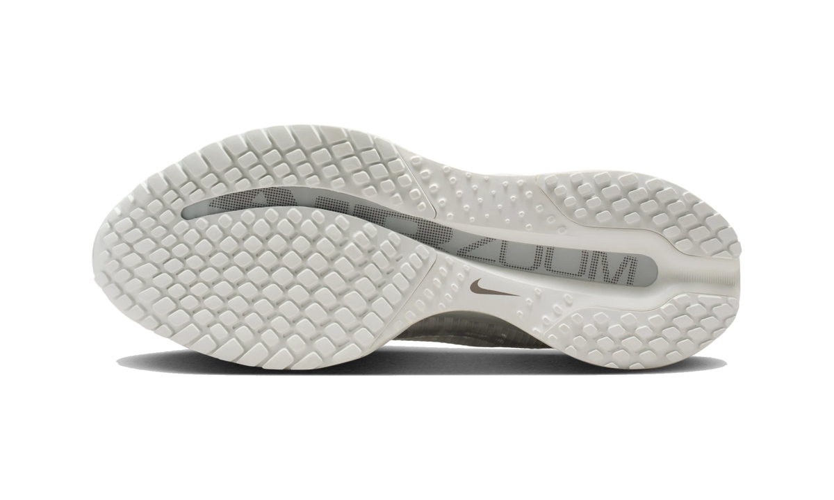 Nike Air Zoom Pegasus Premium Summit White Iridescent