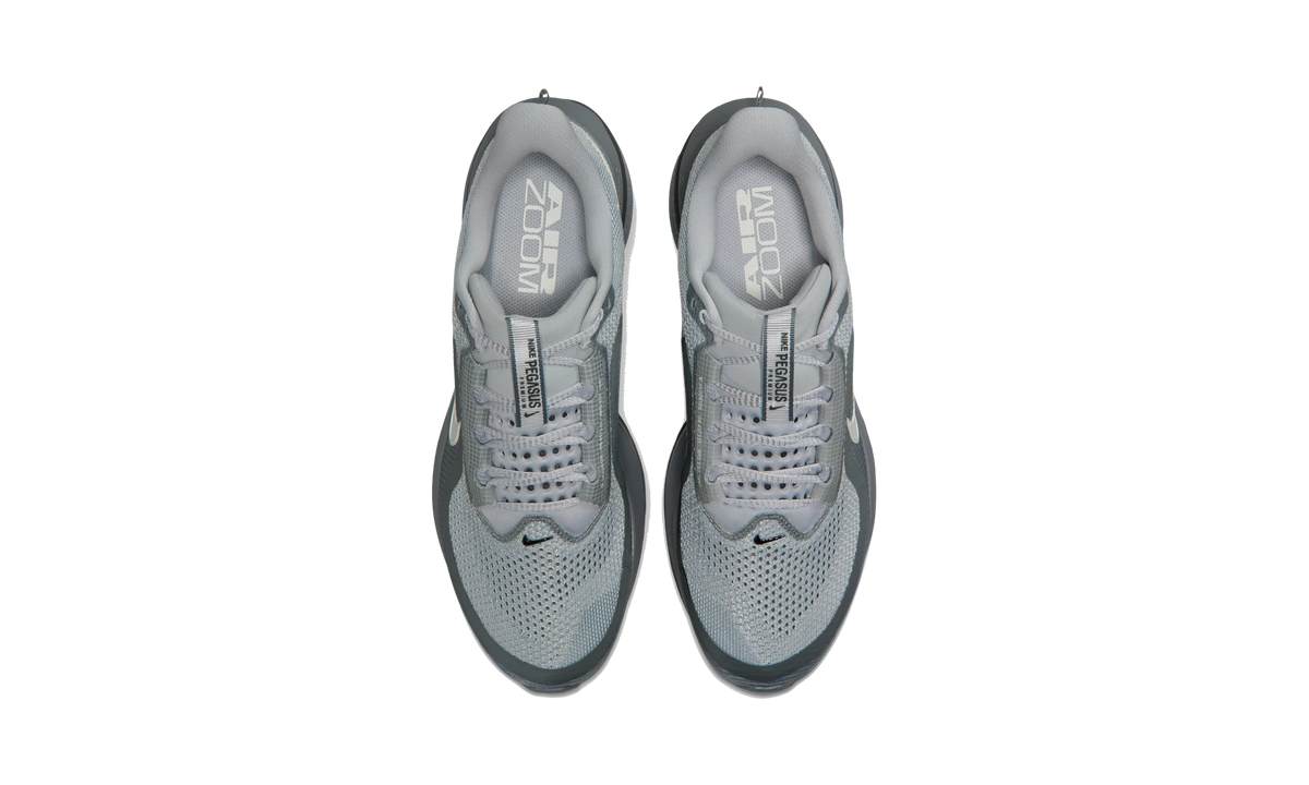 Nike Air Zoom Pegasus Premium Wolf Grey